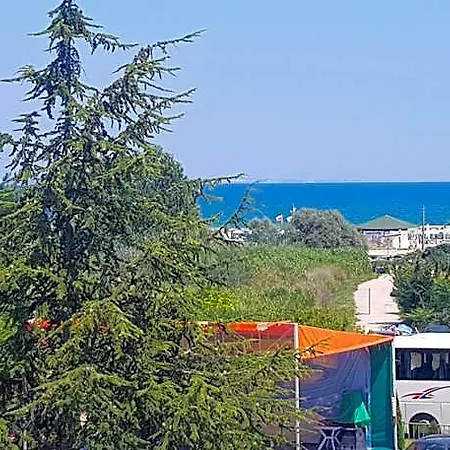 Dsk كرانيفو